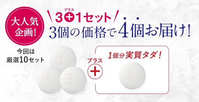 大人気企画！今回は厳選10セット｜3個の価格で4個お届け！