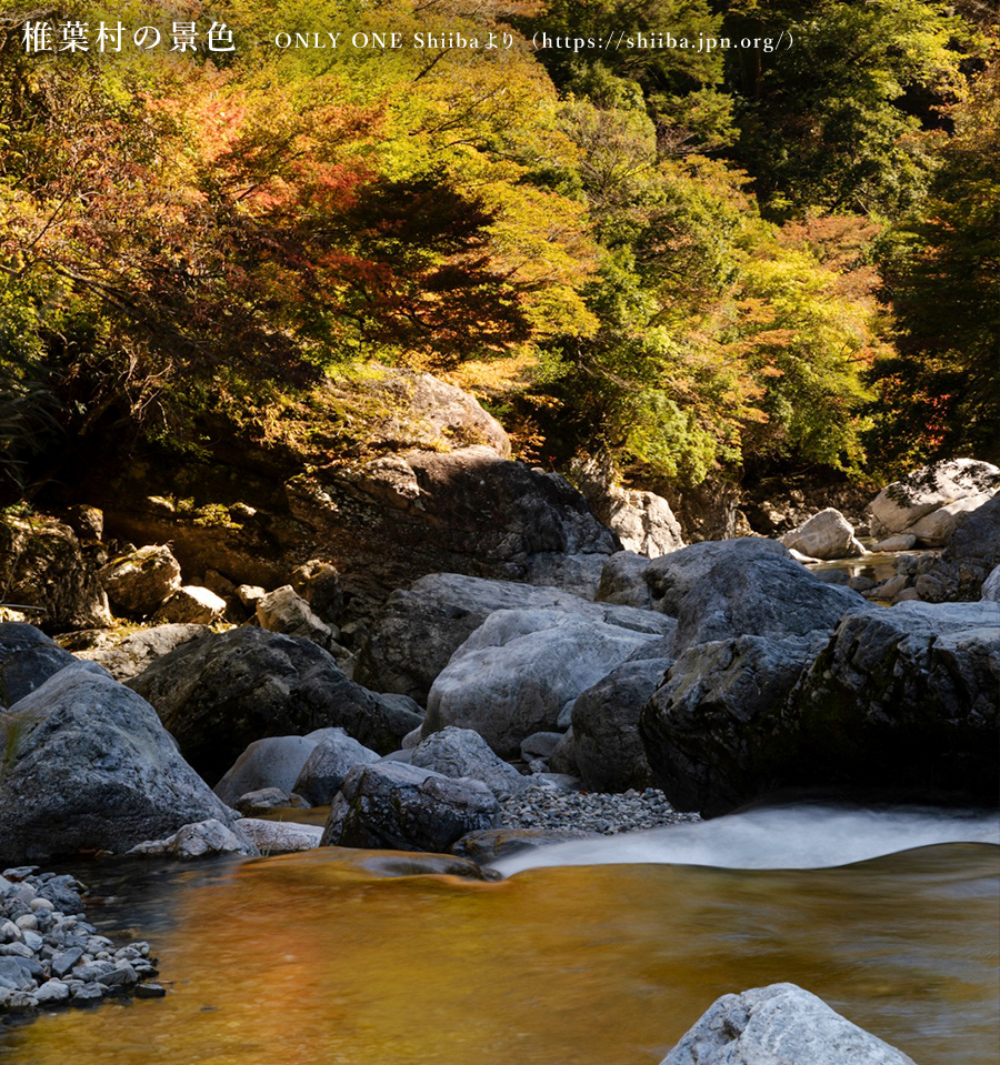 椎葉村の景色