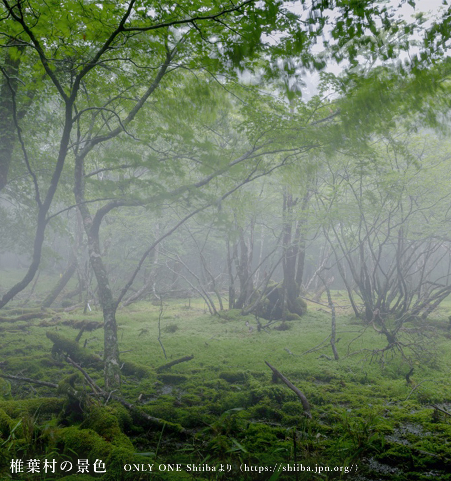 椎葉村の景色