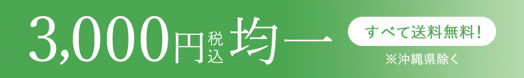 3,000円均一｜すべて送料無料