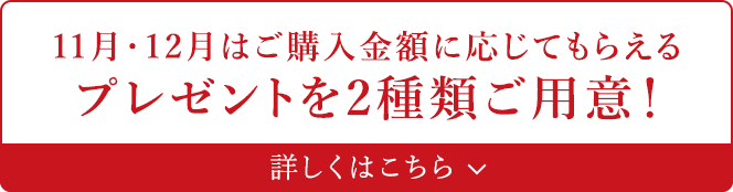 11月はご購入金額に応じてもらえるプレゼントを2種類ご用意！ 詳しくはこちら