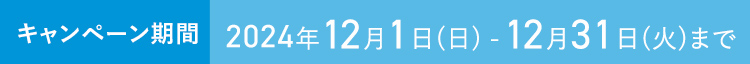 キャンペーン期間 2024年12月1日(日) - 12月31日(火)まで