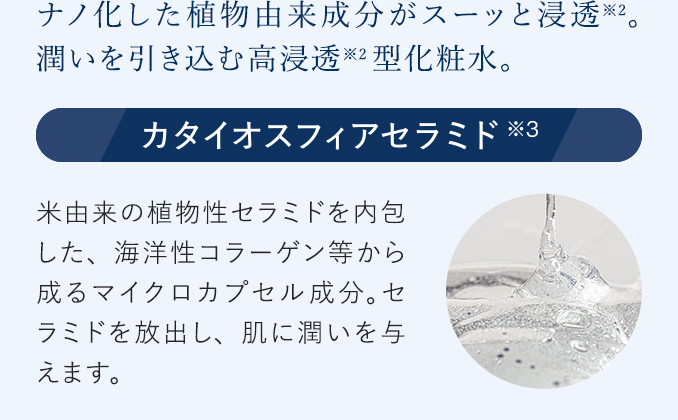 ナノ化した植物由来成分がスーッと浸透※2。潤いを引き込む高浸透※2型化粧水。