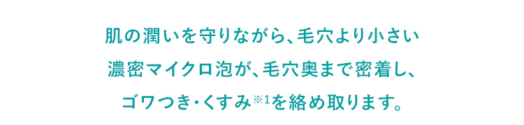 肌の潤いを守りながら、毛穴より小さい濃密マイクロ泡が、毛穴奥まで密着し、ゴワつき・くすみを絡め取ります。