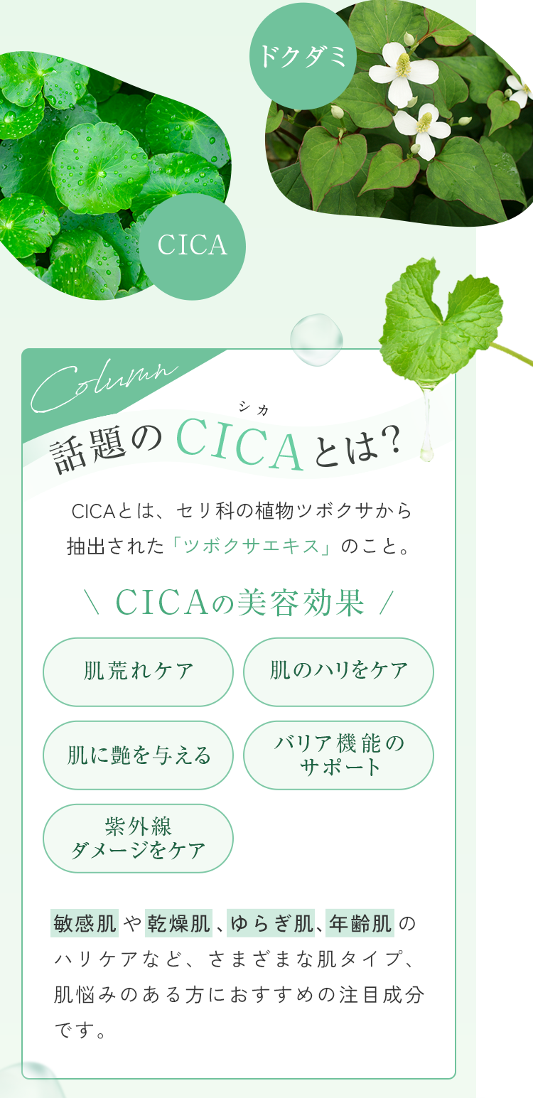 話題のCICAとは？ CICAとは、セリ科の植物ツボクサから抽出された「ツボクサエキス」のこと。