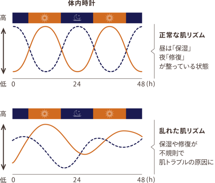 体内時計