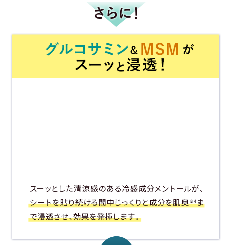 グルコサミン&MSMがスーッと浸透！